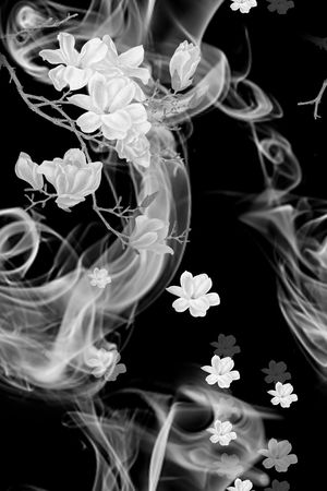 玉兰花印花华亿平台图片