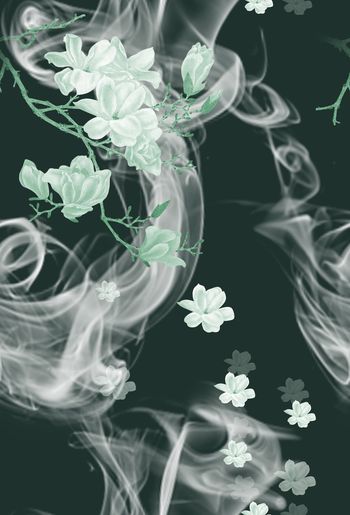 1468619-2021-12-15烟中玉兰花-