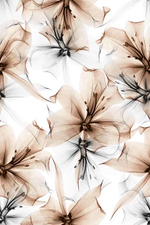 清爽底花卉印花华亿平台图片