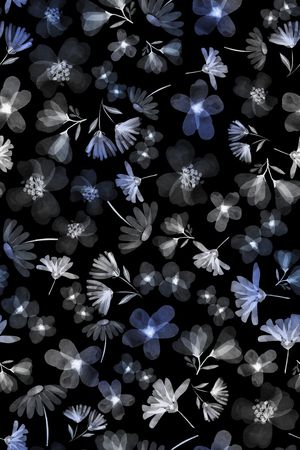 黑底花卉印花华亿平台图片