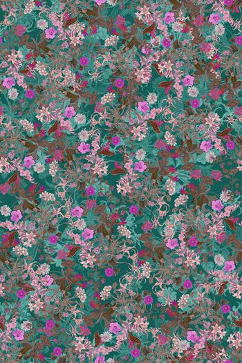 1468925-花卉20072-2