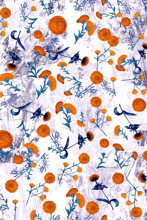 女装印花华亿平台图片