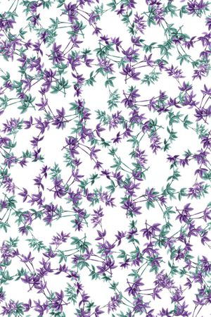 双色印花华亿平台图片