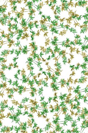 双色印花华亿平台图片