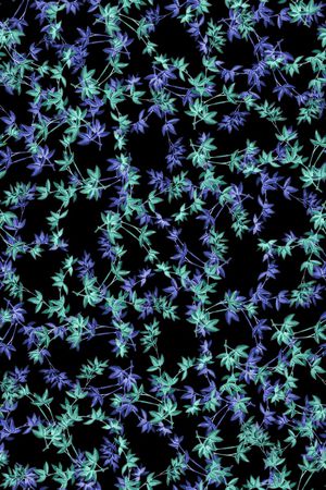 双色印花华亿平台图片