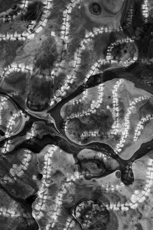 肌理印花华亿平台图片