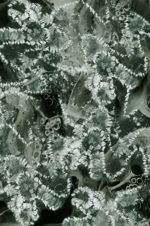 肌理印花华亿平台图片