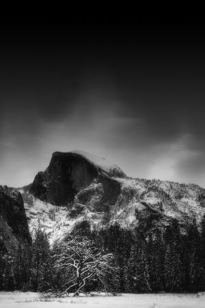 定位花印花华亿平台图片