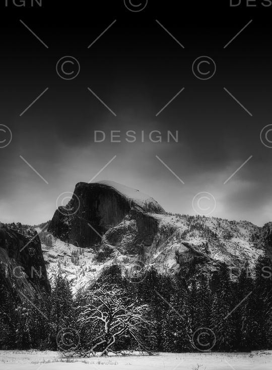 定位花印花华亿平台图片