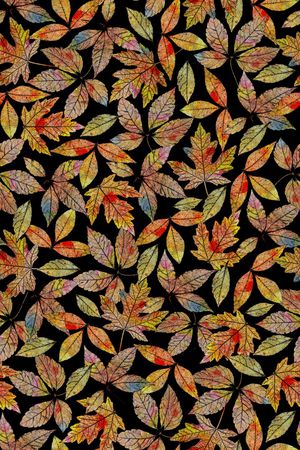 真丝印花华亿平台图片