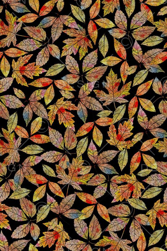 真丝印花华亿平台图片