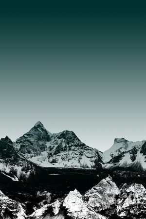 定位花印花华亿平台图片