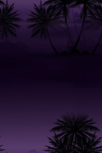 1469235-2021-12-19椰子树