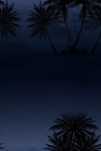 1469236-2021-12-19椰子树-01