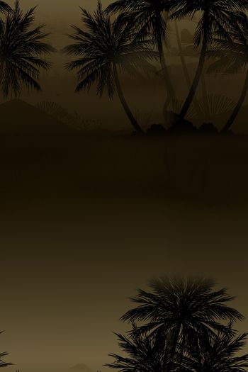 1469237-2021-12-19椰子树-02