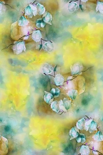 1469560-2021-12-20泡泡瓶中花-