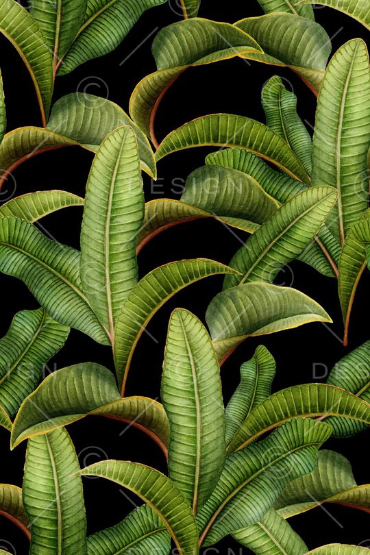 绿植树叶印花华亿平台图片