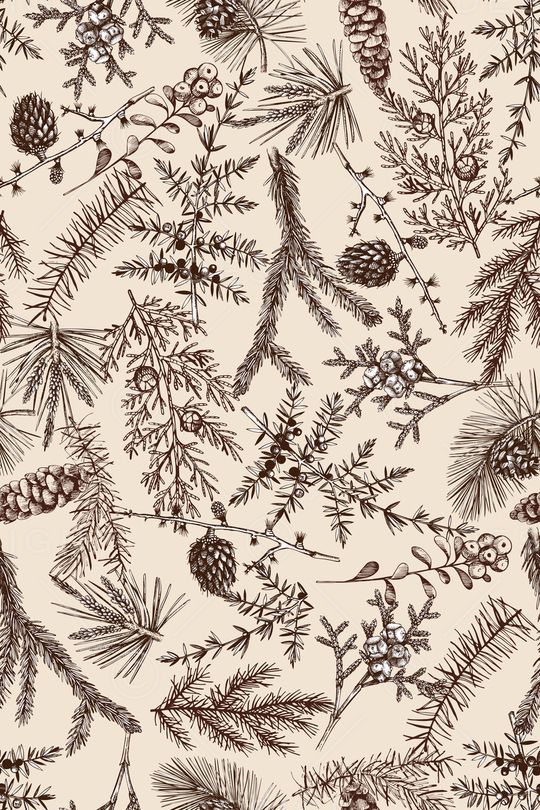 植物印花华亿平台图片