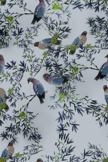 1469768-2021-12-21花鸟