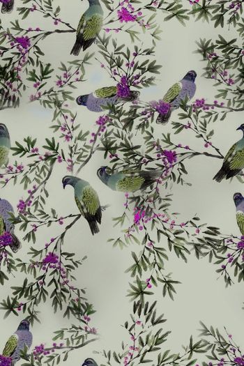 1469770-2021-12-21花鸟-02