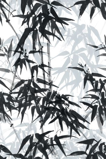 1470001-墨竹07