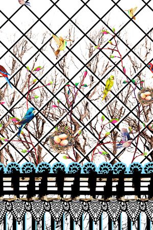 线条印花华亿平台图片