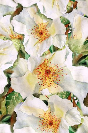 手绘花卉印花华亿平台图片