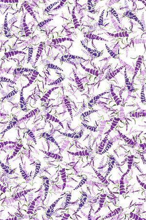 清爽底花卉印花华亿平台图片