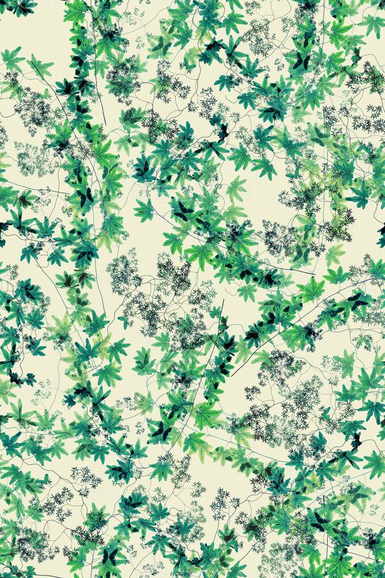 绿植树叶印花华亿平台图片