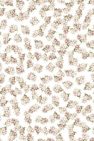 清爽底花卉印花华亿平台图片