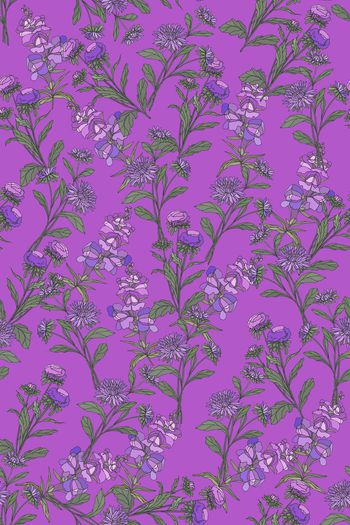 1471214-花卉20084-4