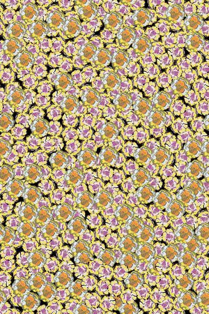 女装印花华亿平台图片