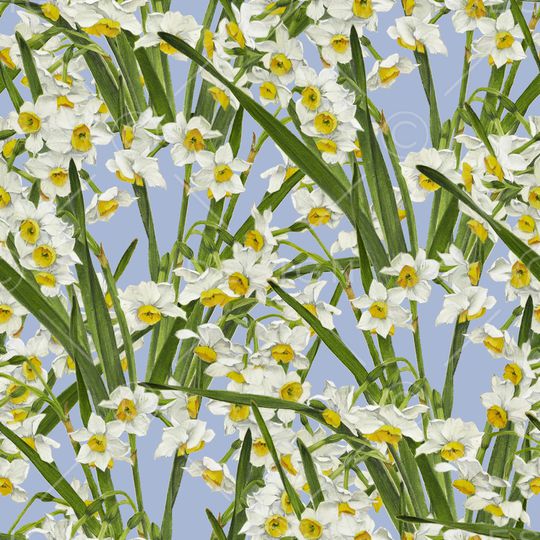 向日葵印花华亿平台图片