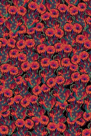 女装印花华亿平台图片