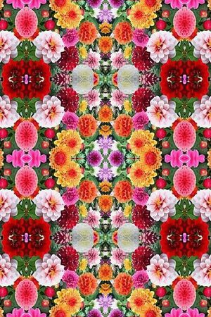 凤尾花印花华亿平台图片