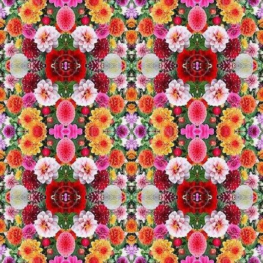 凤尾花印花华亿平台图片