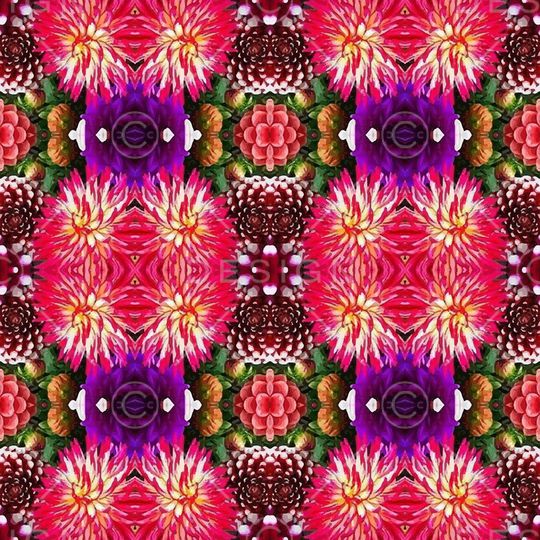 凤尾花印花华亿平台图片