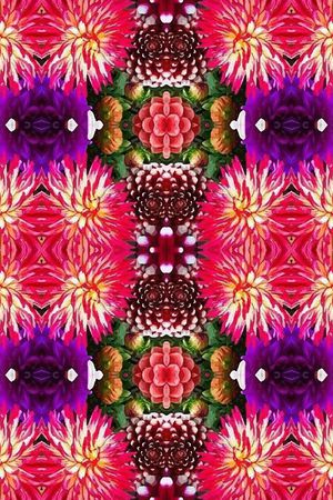 凤尾花印花华亿平台图片