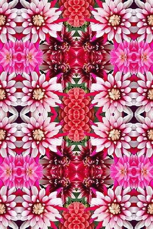 凤尾花印花华亿平台图片