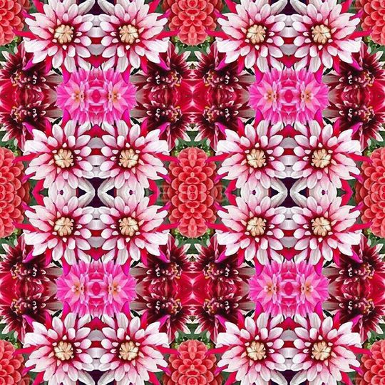 凤尾花印花华亿平台图片