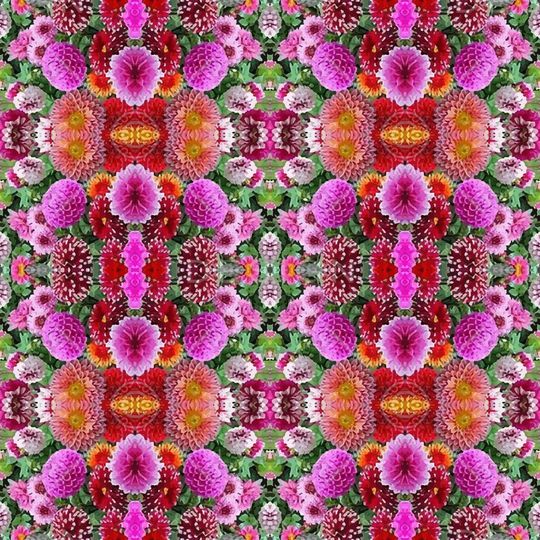 凤尾花印花华亿平台图片