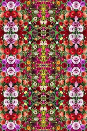 凤尾花印花华亿平台图片