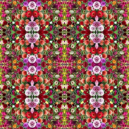 凤尾花印花华亿平台图片