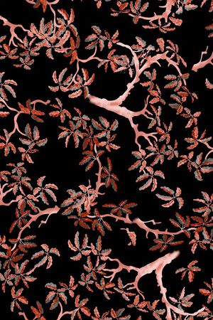 女装印花华亿平台图片