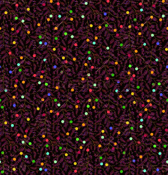 女装印花华亿平台图片