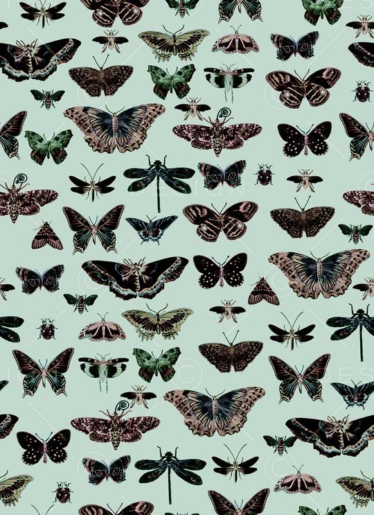 条纹印花华亿平台图片