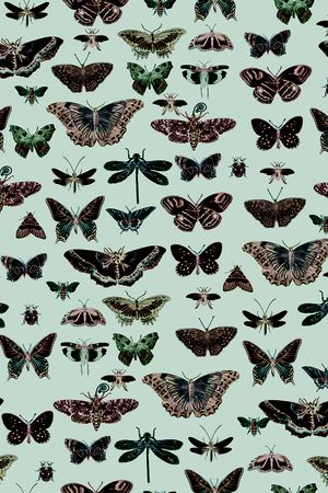 条纹印花华亿平台图片