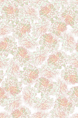 女装印花华亿平台图片