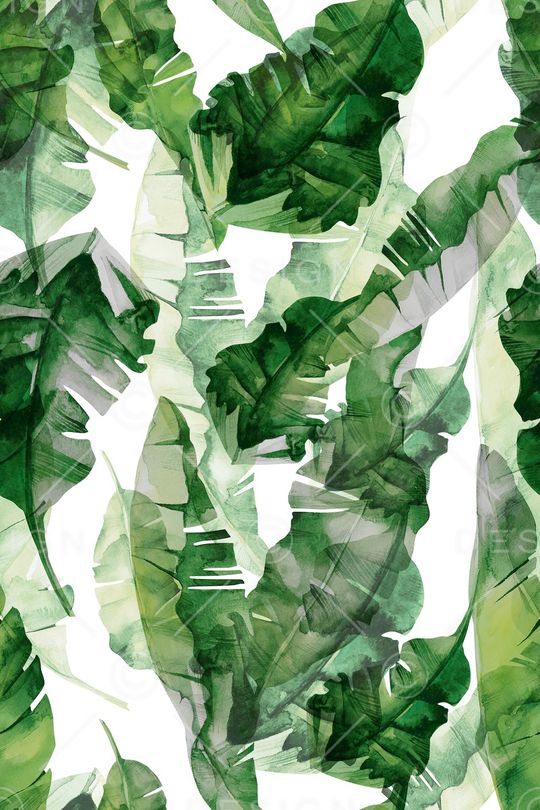 绿植树叶印花华亿平台图片