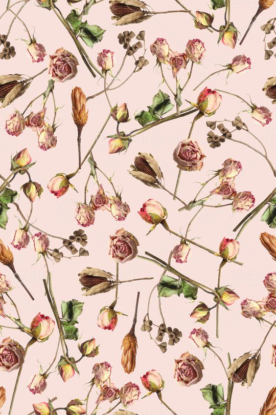 年轻女性印花华亿平台图片